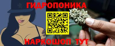гашик Можайск