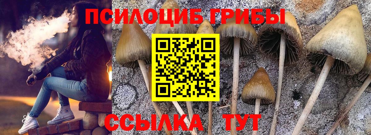 Галлюциногенные грибы Cubensis Сухой Лог